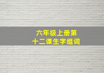 六年级上册第十二课生字组词