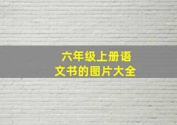 六年级上册语文书的图片大全