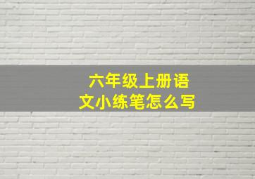 六年级上册语文小练笔怎么写