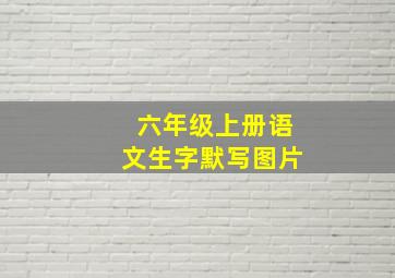 六年级上册语文生字默写图片