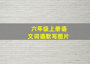 六年级上册语文词语默写图片