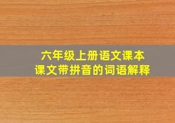 六年级上册语文课本课文带拼音的词语解释