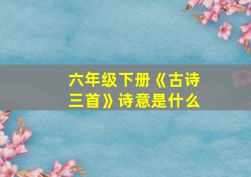 六年级下册《古诗三首》诗意是什么