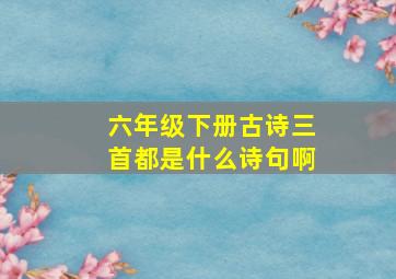 六年级下册古诗三首都是什么诗句啊