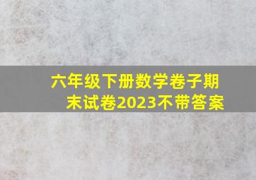 六年级下册数学卷子期末试卷2023不带答案