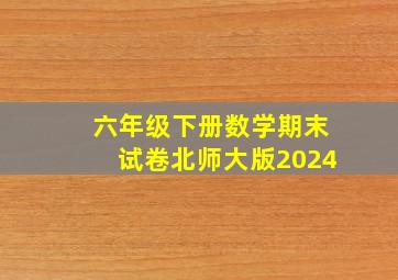 六年级下册数学期末试卷北师大版2024