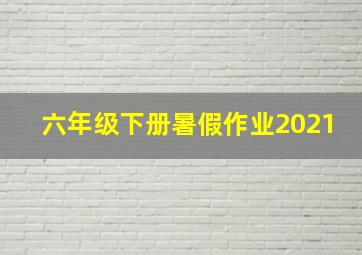 六年级下册暑假作业2021