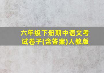 六年级下册期中语文考试卷子(含答案)人教版