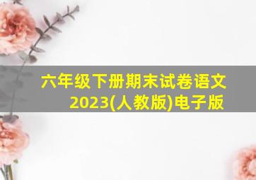 六年级下册期末试卷语文2023(人教版)电子版