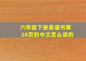 六年级下册英语书第28页的中文怎么读的