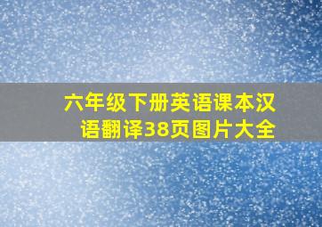 六年级下册英语课本汉语翻译38页图片大全