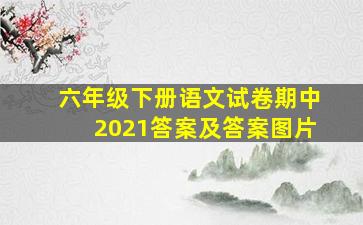 六年级下册语文试卷期中2021答案及答案图片