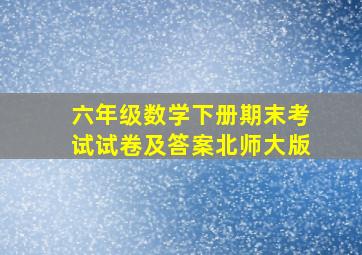 六年级数学下册期末考试试卷及答案北师大版