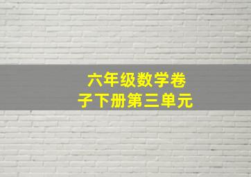 六年级数学卷子下册第三单元