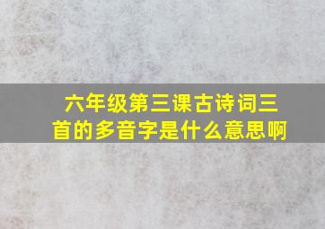 六年级第三课古诗词三首的多音字是什么意思啊