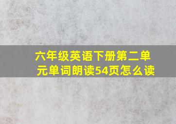 六年级英语下册第二单元单词朗读54页怎么读