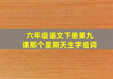 六年级语文下册第九课那个星期天生字组词