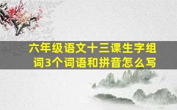 六年级语文十三课生字组词3个词语和拼音怎么写