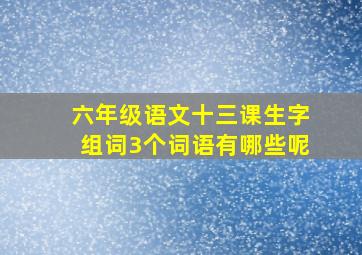 六年级语文十三课生字组词3个词语有哪些呢