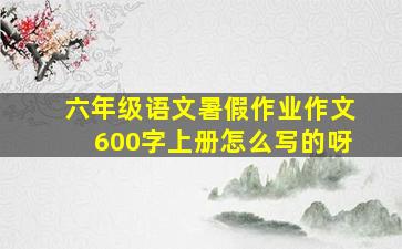 六年级语文暑假作业作文600字上册怎么写的呀