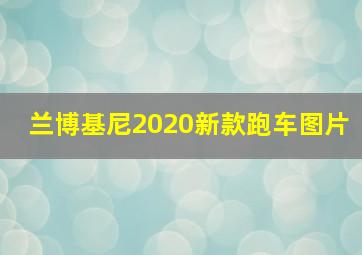 兰博基尼2020新款跑车图片