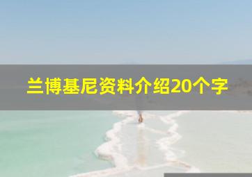 兰博基尼资料介绍20个字