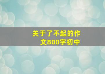 关于了不起的作文800字初中