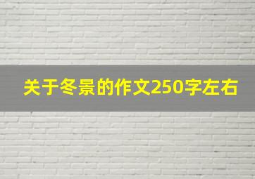 关于冬景的作文250字左右