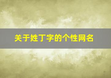 关于姓丁字的个性网名