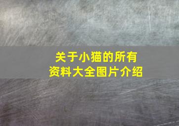 关于小猫的所有资料大全图片介绍