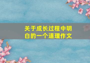 关于成长过程中明白的一个道理作文