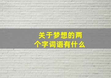 关于梦想的两个字词语有什么