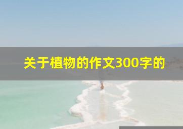 关于植物的作文300字的