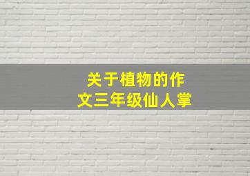 关于植物的作文三年级仙人掌