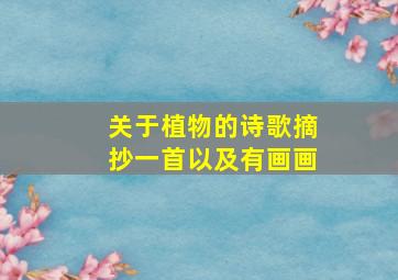 关于植物的诗歌摘抄一首以及有画画