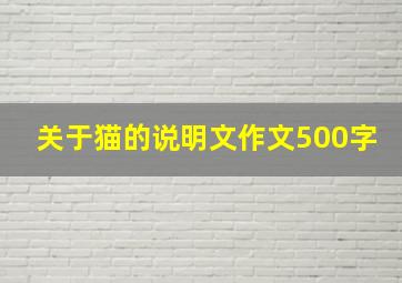 关于猫的说明文作文500字