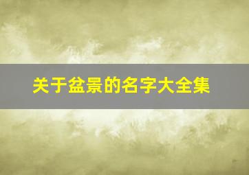 关于盆景的名字大全集