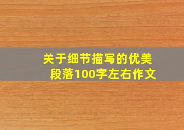 关于细节描写的优美段落100字左右作文