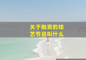 关于融资的综艺节目叫什么