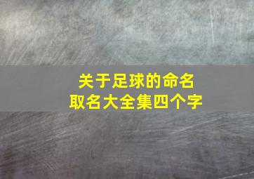 关于足球的命名取名大全集四个字