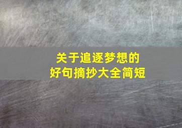 关于追逐梦想的好句摘抄大全简短