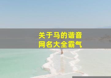 关于马的谐音网名大全霸气