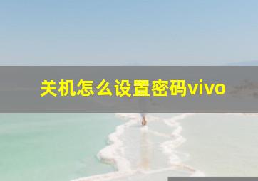 关机怎么设置密码vivo