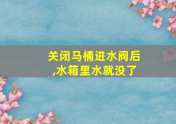 关闭马桶进水阀后,水箱里水就没了