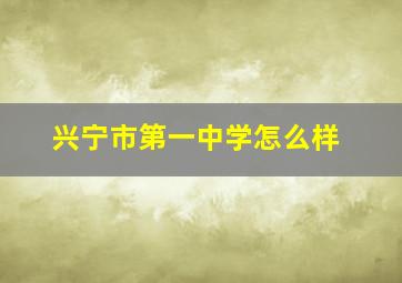 兴宁市第一中学怎么样