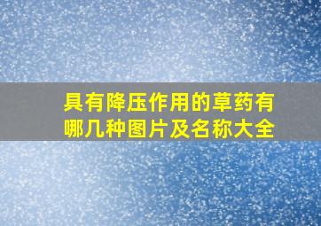 具有降压作用的草药有哪几种图片及名称大全