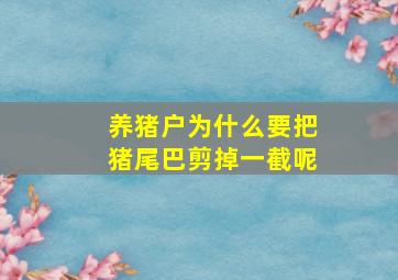 养猪户为什么要把猪尾巴剪掉一截呢