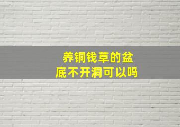 养铜钱草的盆底不开洞可以吗