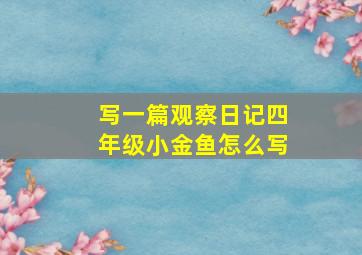 写一篇观察日记四年级小金鱼怎么写