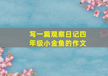 写一篇观察日记四年级小金鱼的作文